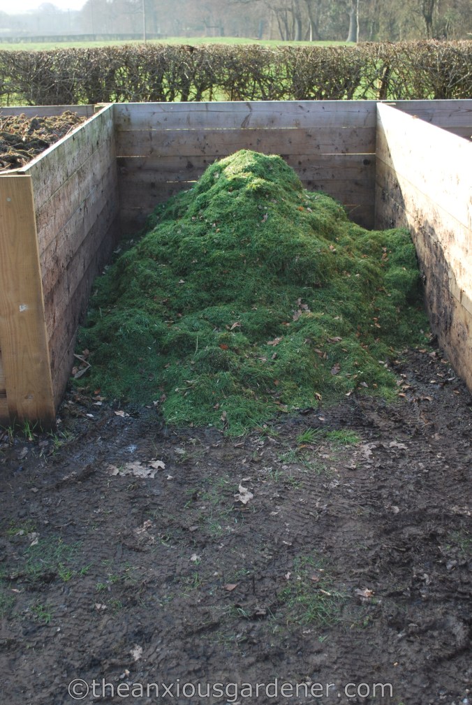 Compost bin
