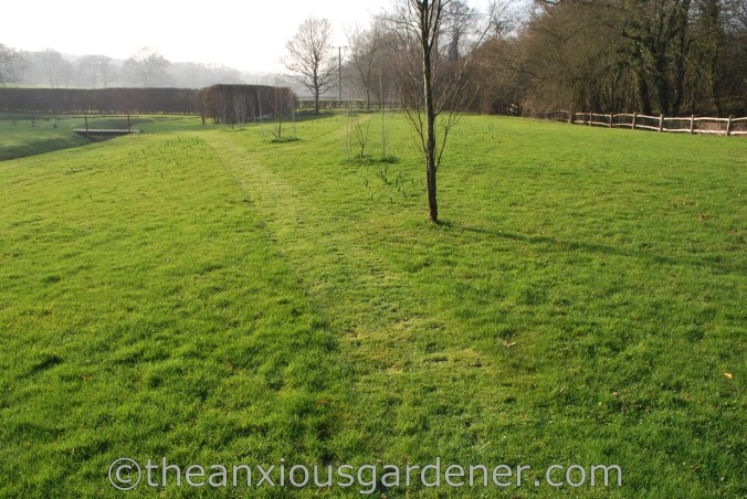 Mowing paths on meadow