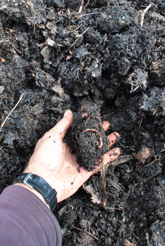 Composting the Priory