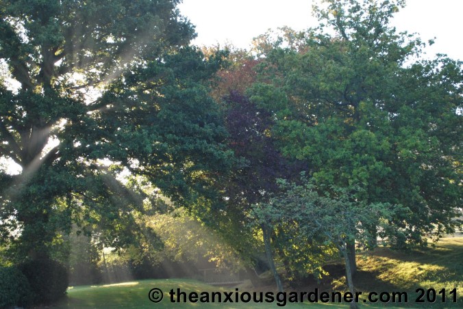 To Make A Gardener Anxious