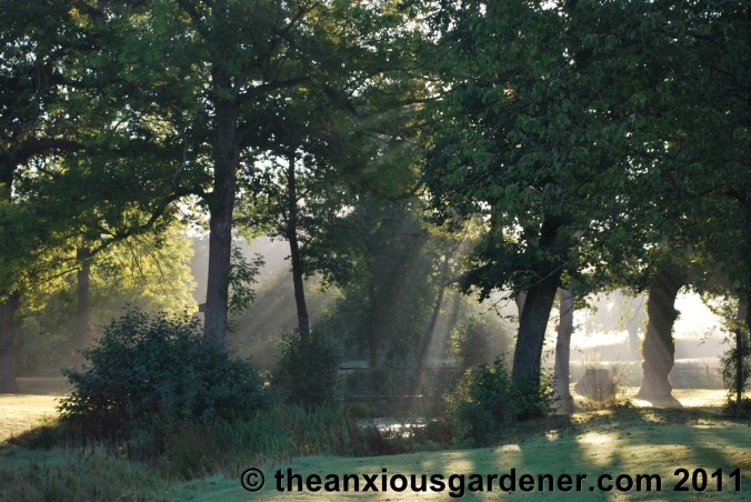 To Make A Gardener Anxious
