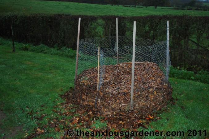 Making Leaf Mould
