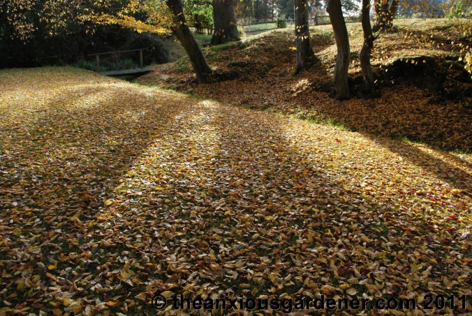 Retired to the Greenhouse
