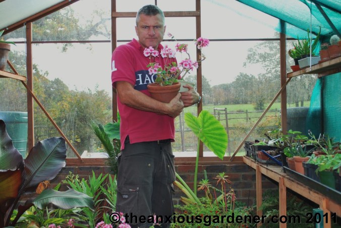 Retired to the Greenhouse