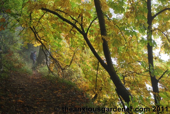 Retired to the Greenhouse