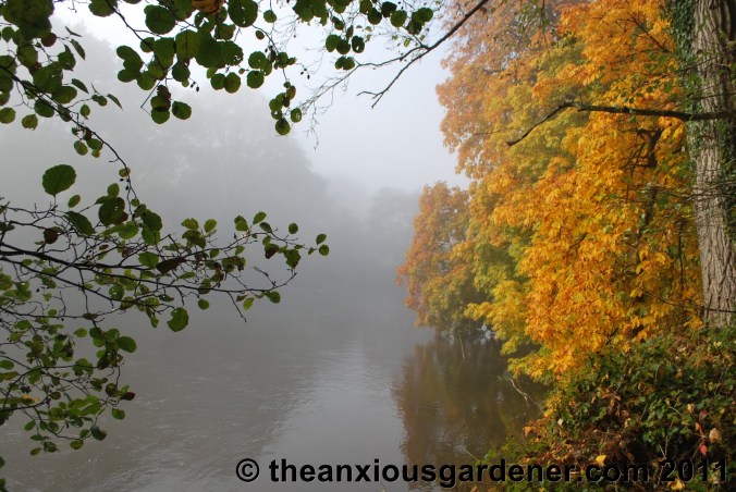 Retired to the Greenhouse