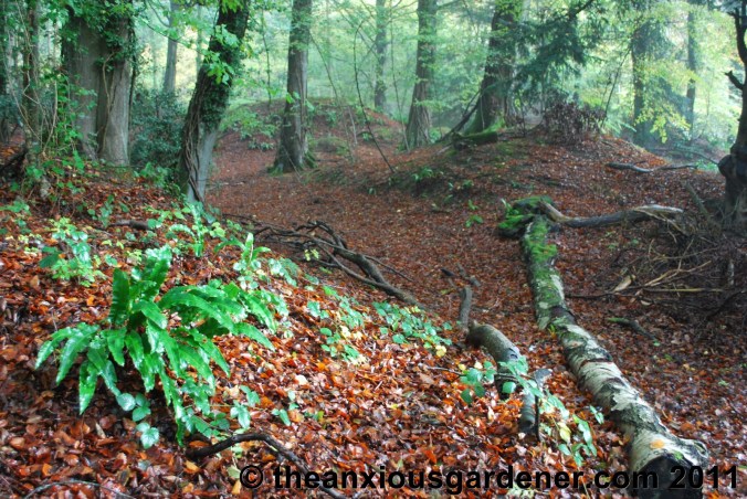 Retired to the Greenhouse