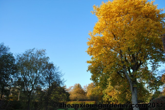 Retired to the Greenhouse