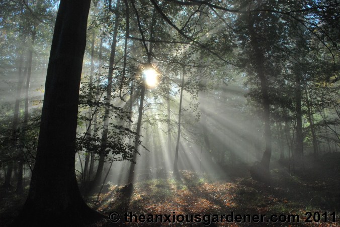 Retired to the Greenhouse