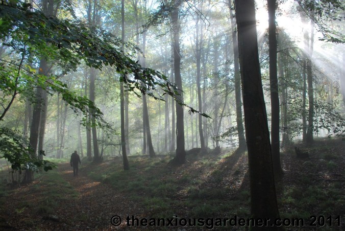 Retired to the Greenhouse