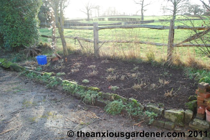 Mulching The Beds