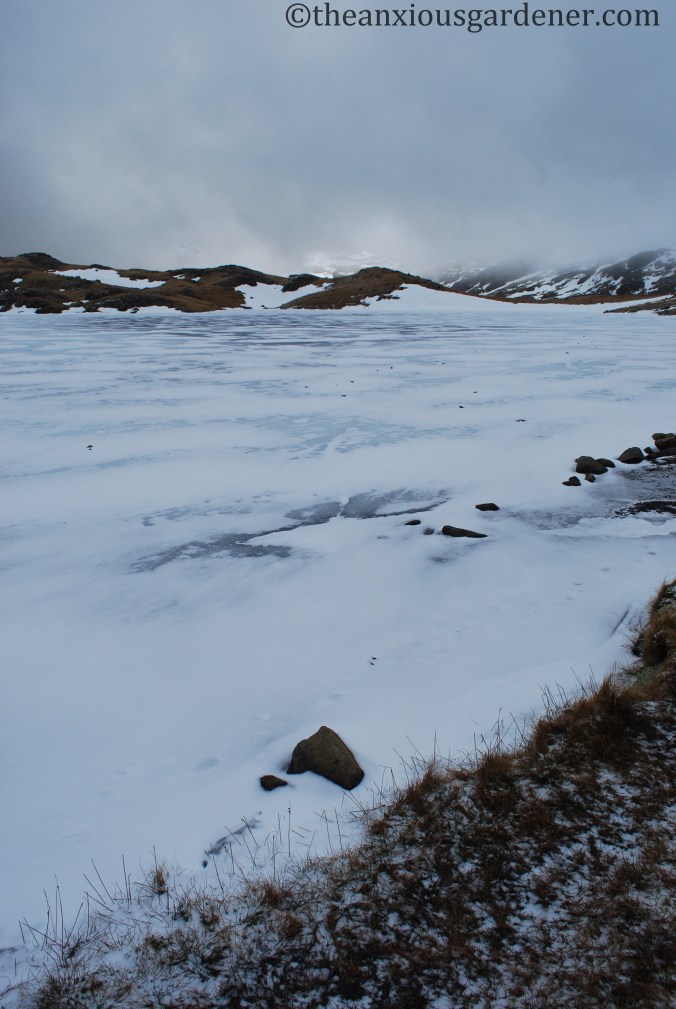 Lakeland Fells - February 2010