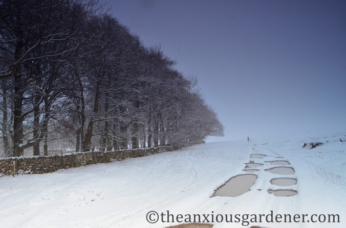 On Wainwright's Coast to Coast Path
