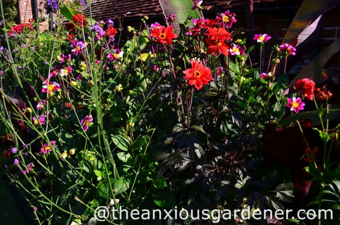 DSM_Bishop of Llandaff