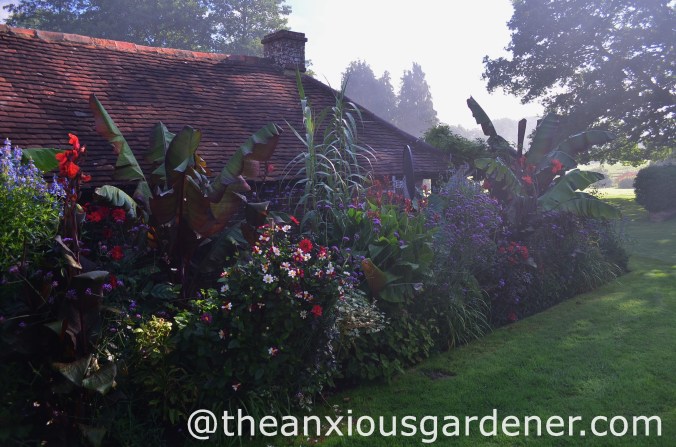 DSM_Tropical Border (2)