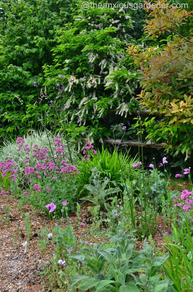 Gravel garden (1)