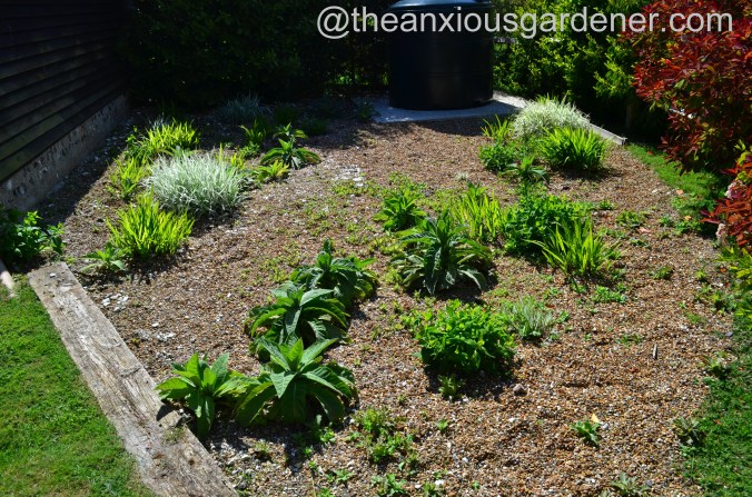 Gravel garden