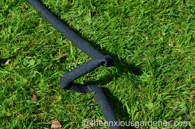 Tropical Border (11)