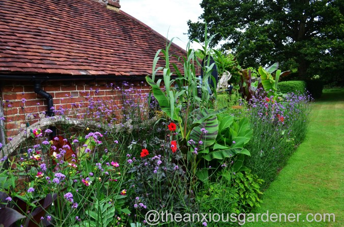 Tropical Border (18)