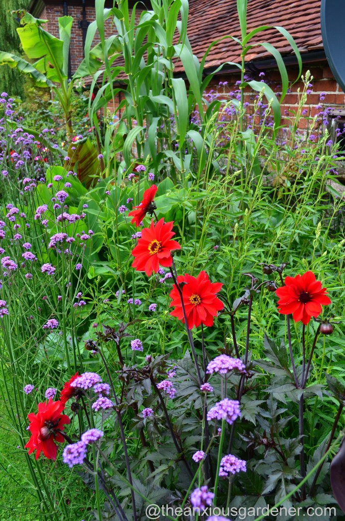 Tropical Border (20)