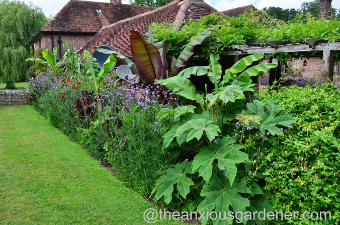 Tropical Border (21)