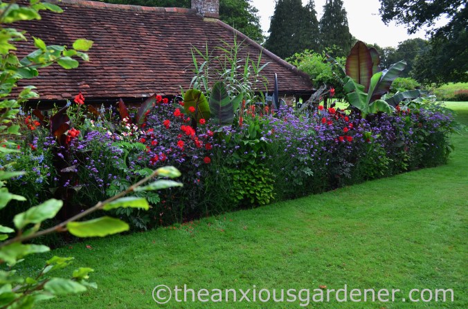 Tropical Border (17)