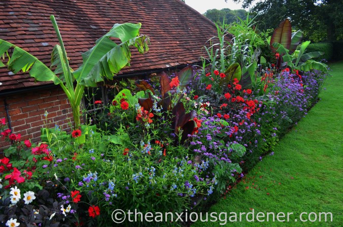 Tropical Border (18)