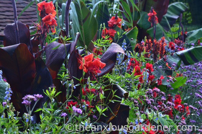 Tropical Border (24)