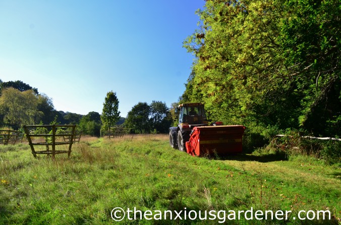 Meadow Cutting (3)