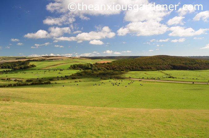 Cuckmere Valley (3)