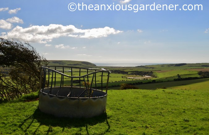 Cuckmere Valley (4)