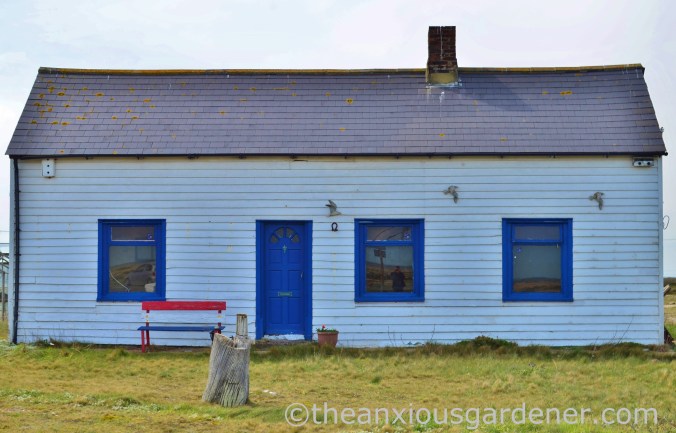 Dungeness (1)