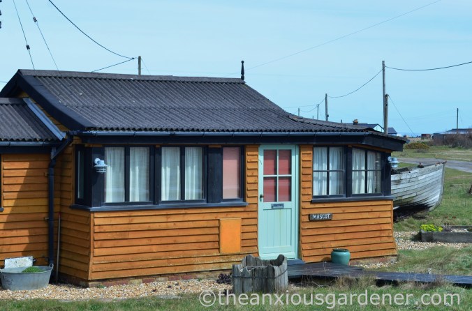 Dungeness (13)