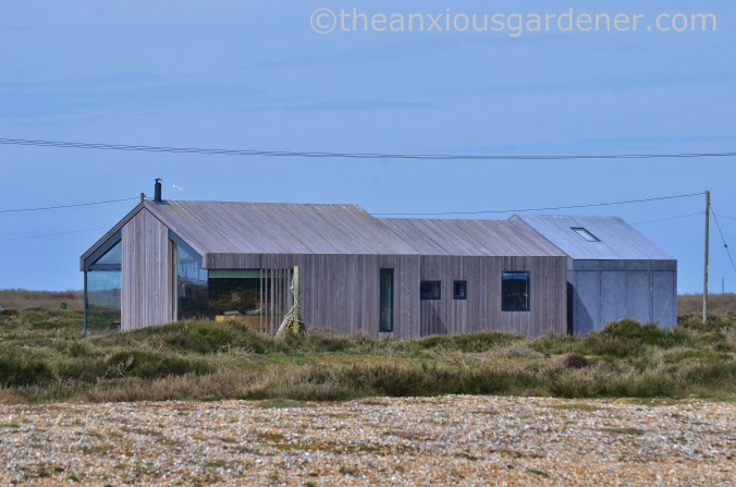 Dungeness (20)