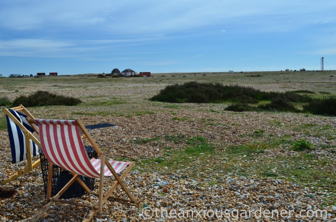 Dungeness (24)