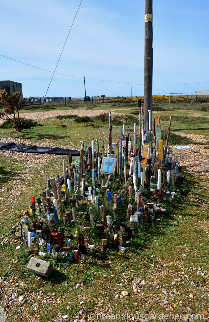 Dungeness (7)