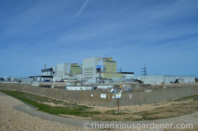 Dungeness Nuclear Power Station (1)