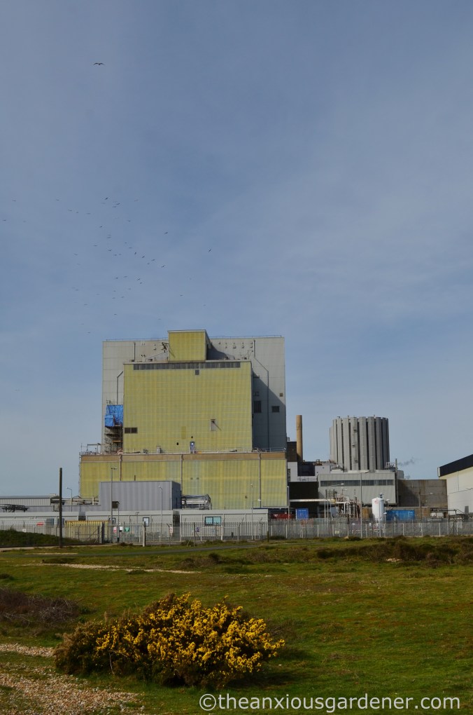 Dungeness Nuclear Power Station