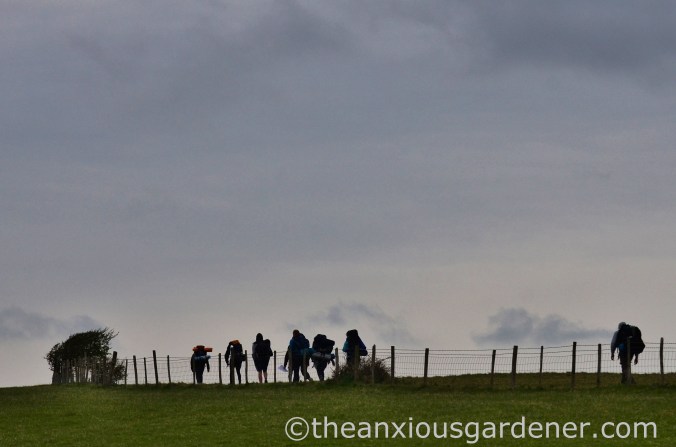 South Downs Way (12)