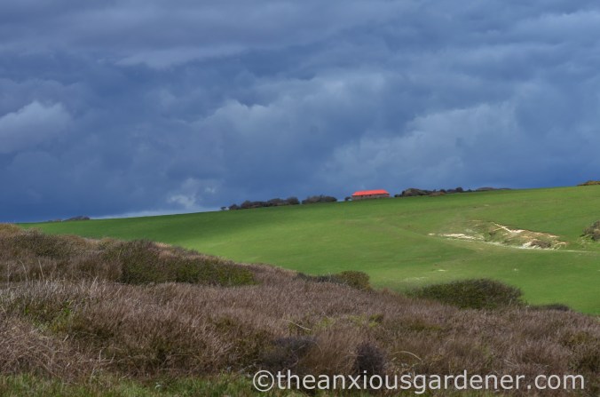 South Downs Way (13)