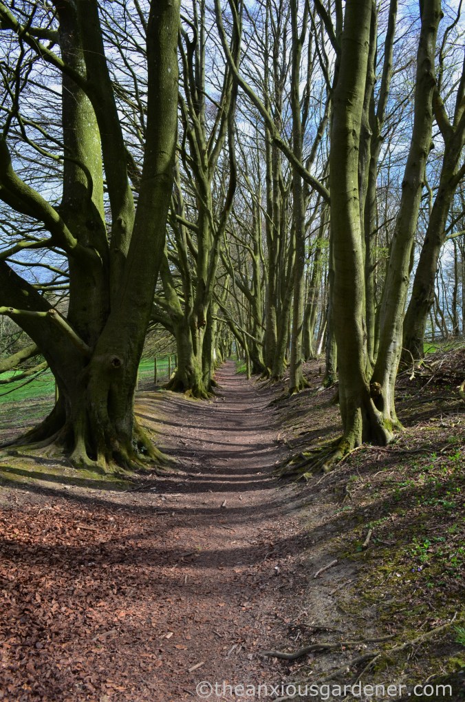 South Downs Way (14)