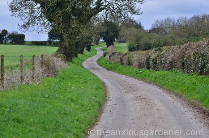 South Downs Way (17)