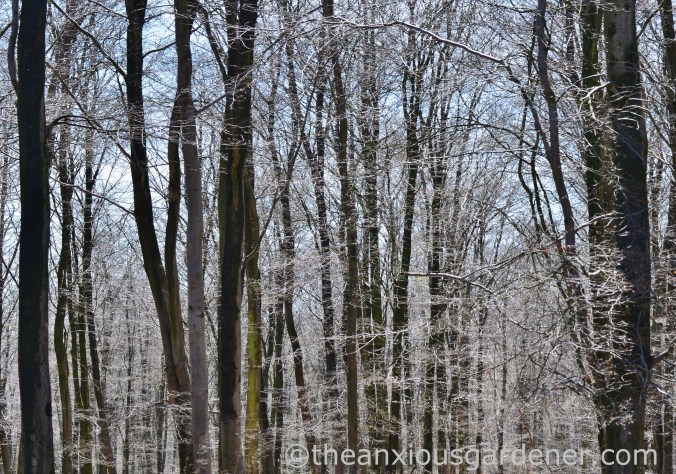 South Downs Way (20)