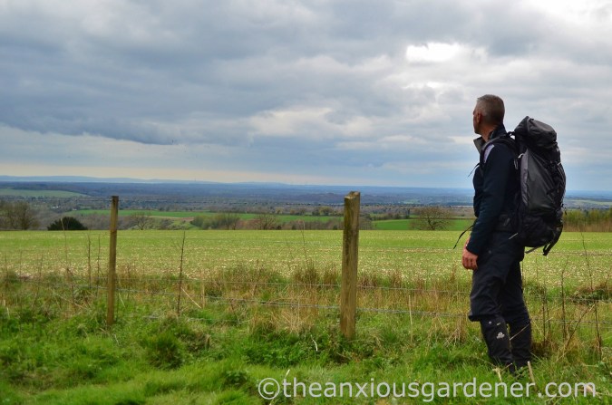 South Downs Way (29)