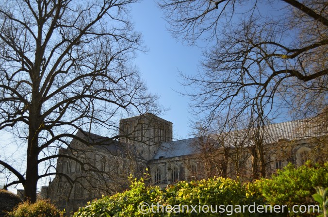 Winchester Cathedral