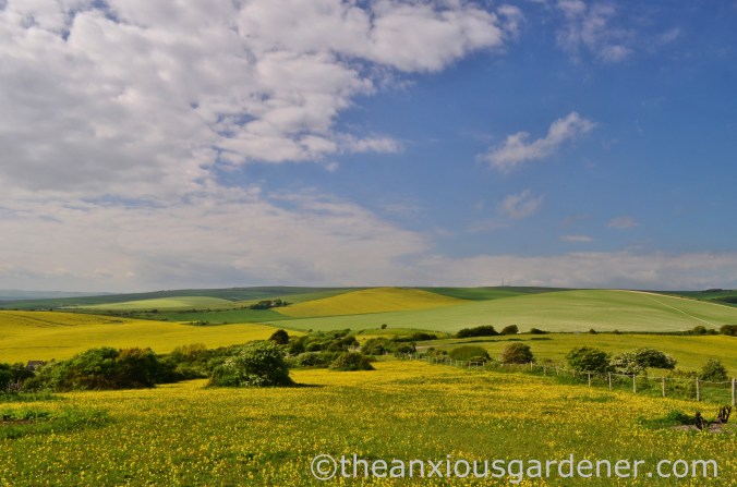 May South Downs