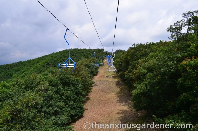 Boppard chairlift (2)