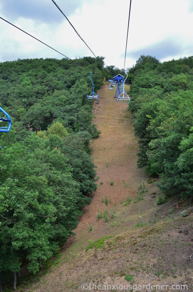 Boppard chairlift (3)