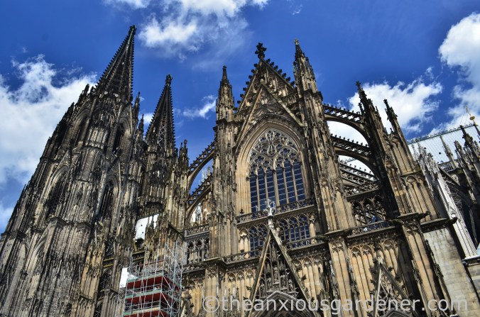 Cologne Cathedral