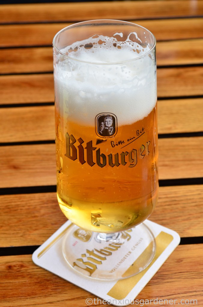 Cyclig along the Rhine (13)